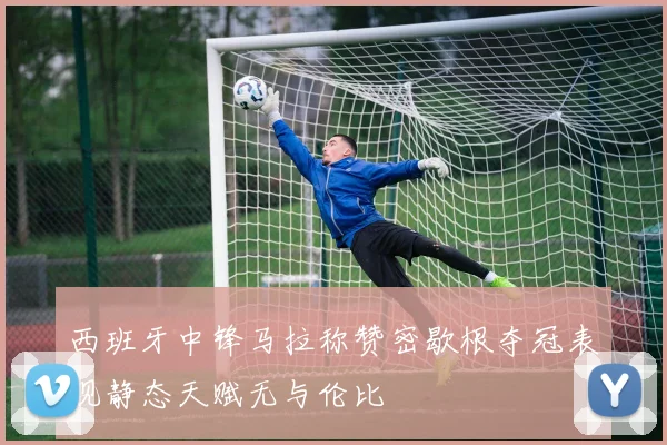 西班牙中锋马拉称赞密歇根夺冠表现静态天赋无与伦比